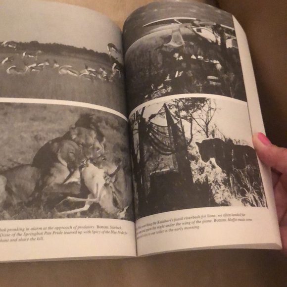 CRY OF THE KALAHARI & THE EYE OF THE ELEPHANT • BUNDLE 2 SOFTCOVER BOOKS - Picture 15 of 17